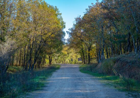 Promenade : Le lac de Méaulx – Saint-Paul-en-Forêt