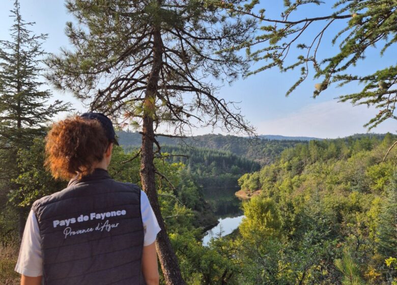 Promenade : Le lac de Méaulx – Saint-Paul-en-Forêt