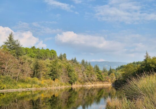 Promenade : Le lac de Méaulx – Saint-Paul-en-Forêt