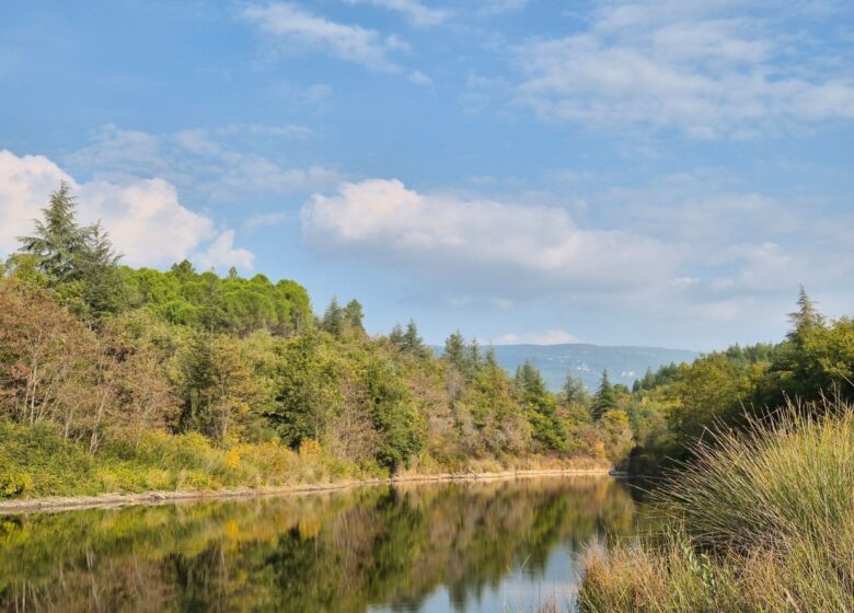 Promenade : Le lac de Méaulx – Saint-Paul-en-Forêt