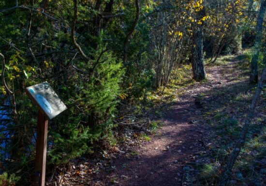 Promenade : Le Lac du Rioutard – Saint-Paul-en-Forêt