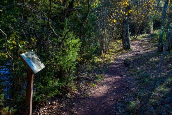 Promenade : Le Lac du Rioutard – Saint-Paul-en-Forêt
