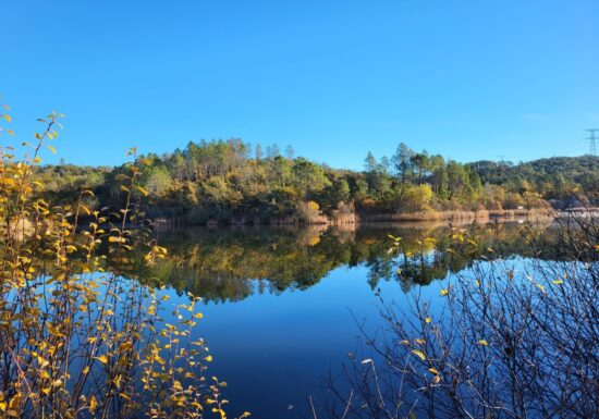Promenade : Le Lac du Rioutard – Saint-Paul-en-Forêt