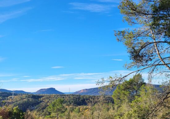 Promenade : Le Lac du Rioutard – Saint-Paul-en-Forêt