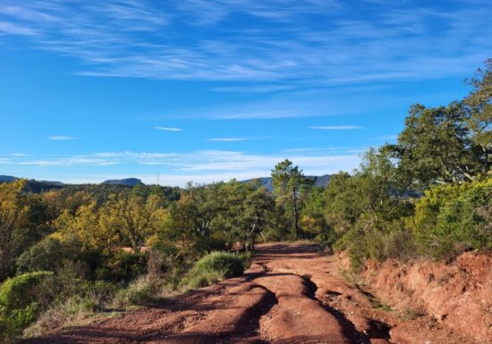 Promenade : Le Lac du Rioutard – Saint-Paul-en-Forêt