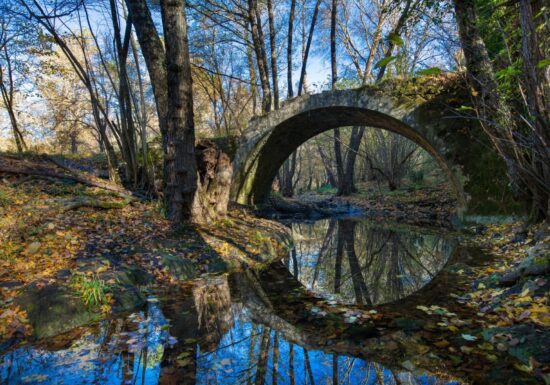 Promenade : La Forêt Royale – Saint-Paul-en-Forêt