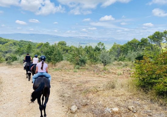 Haras des Villards : Balade à cheval « Le Chant des Oliviers »