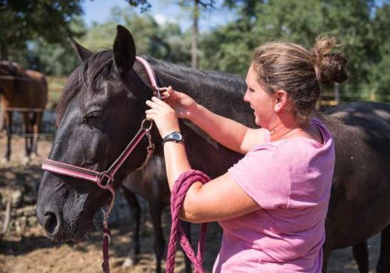 promenade découverte » réserve biologique  » au lac de St Cassien 2h