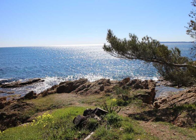 Parc Thérèse Cazelles