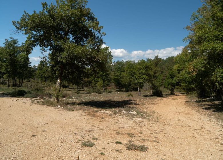 Circuit VTT : Balade photovoltaïque