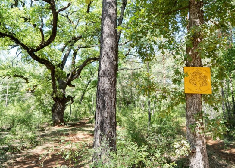 Circuit VTT : Balade photovoltaïque