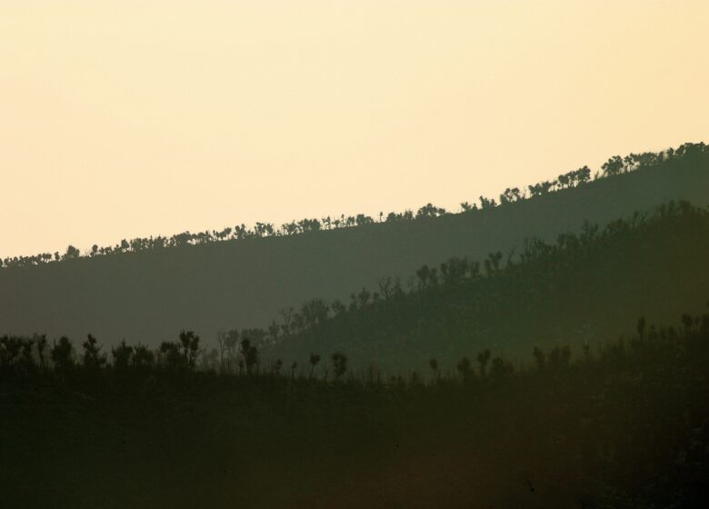 Massif des Maures