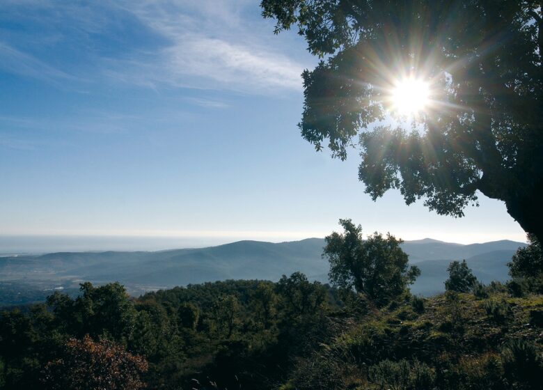 Massif des Maures