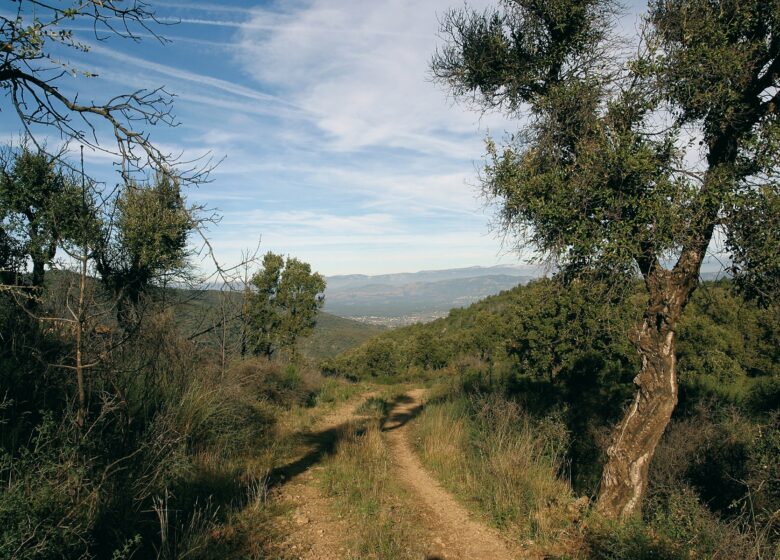 Massif des Maures