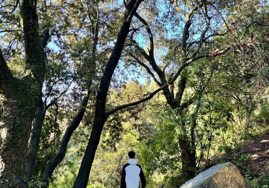 Randonnée : Du Grand Défens au Dramont