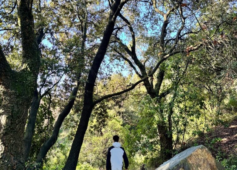 Randonnée : Du Grand Défens au Dramont