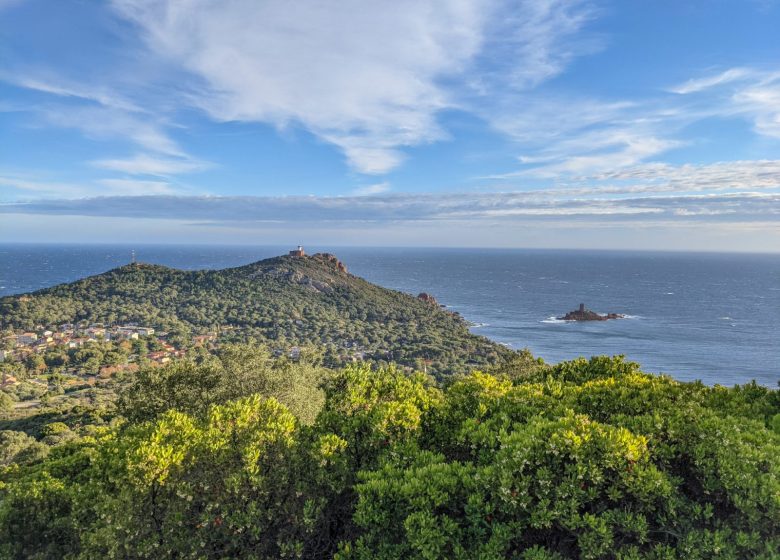 Randonnée : Du Grand Défens au Dramont