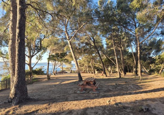 Parc Bedouce