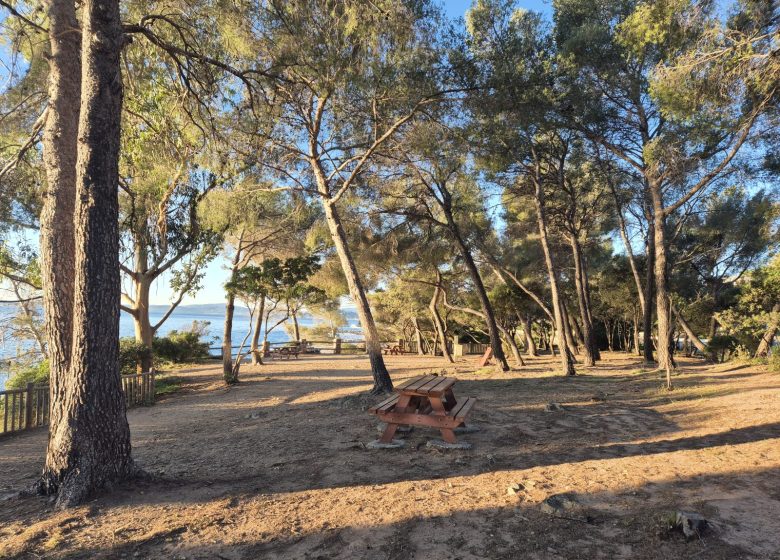 Parc Bedouce