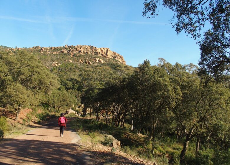 Randonnée : De Roussivau au Perthus