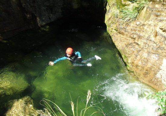 Balade aquatique: Back to the tree