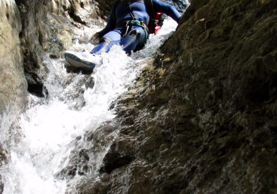 Balade aquatique: Back to the tree