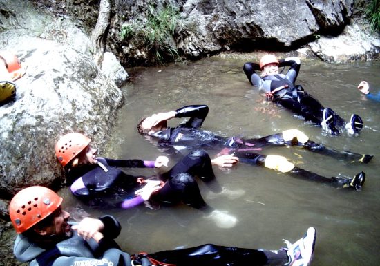 Balade aquatique: Back to the tree