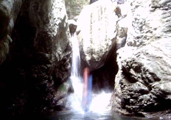 Balade aquatique: Back to the tree