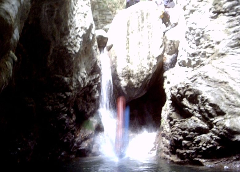 Balade aquatique: Back to the tree