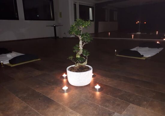 Le massage thérapeutique – Patricia Perret