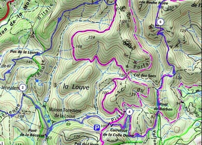Trail – Trail Hermès Estérel (10km)