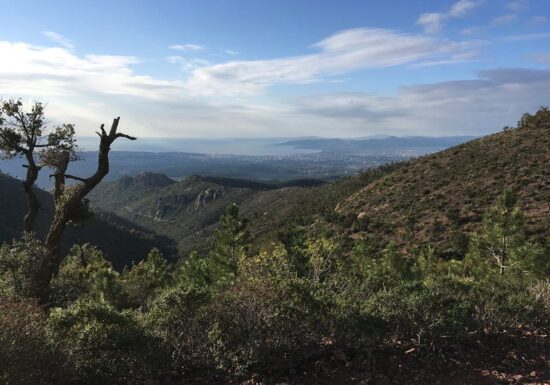 Trail – Trail Hermès Estérel (10km)
