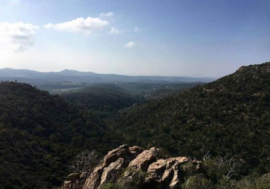 Trail – Trail Hermès Estérel (10km)