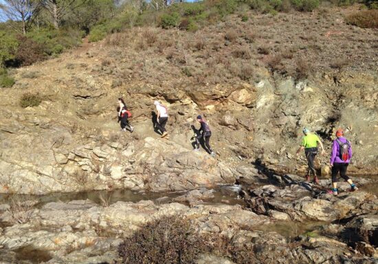 Trail – Trail Hermès Estérel (20km)