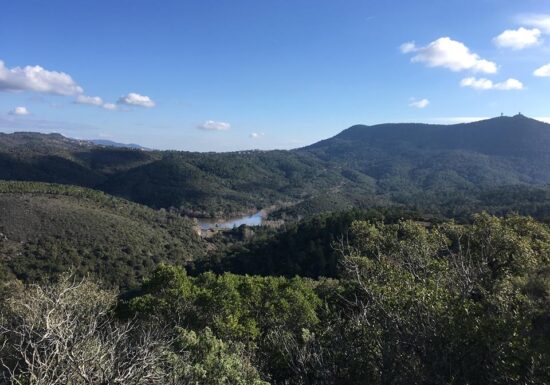 Trail – Trail Hermès Estérel (20km)