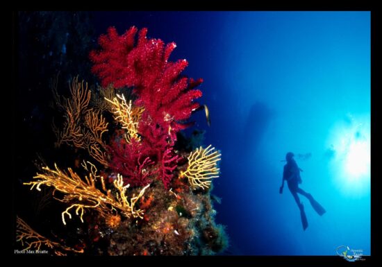 Baptême de plongée