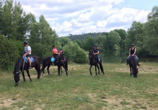 Haras des Villards: Journée détente à cheval/poney