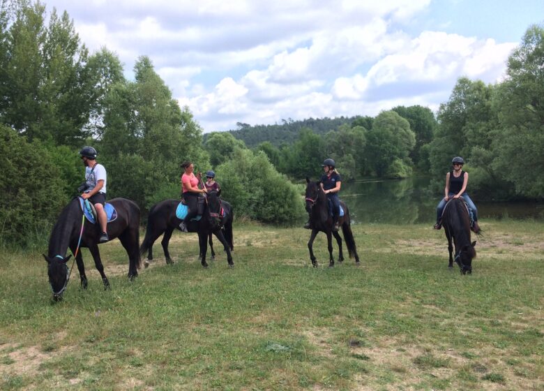 Haras des Villards: Journée détente à cheval/poney