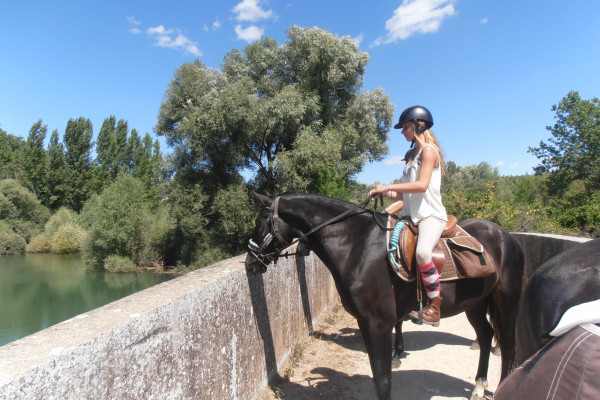 Haras des Villards: Journée détente à cheval/poney