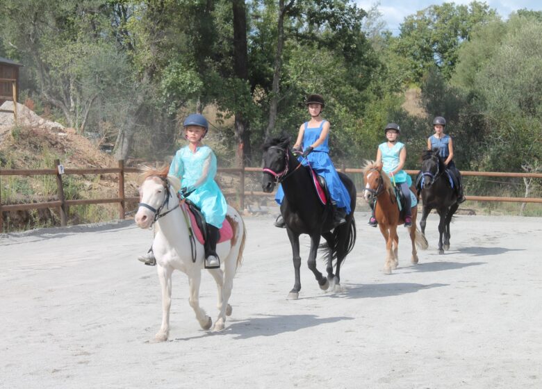Haras des Villards : Séance d’initiation poney/cheval
