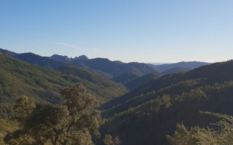 Location de VTT électrique dans l’Estérel – 1/2 journée ou journée