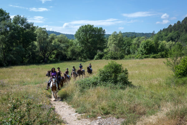 Balade à cheval : Réserve de Fondurane