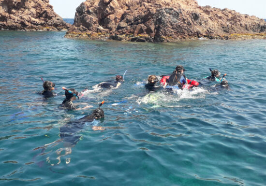 Randonnée Palmée – Port fréjus