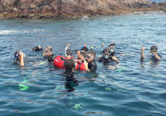 Randonnée Palmée – Port fréjus