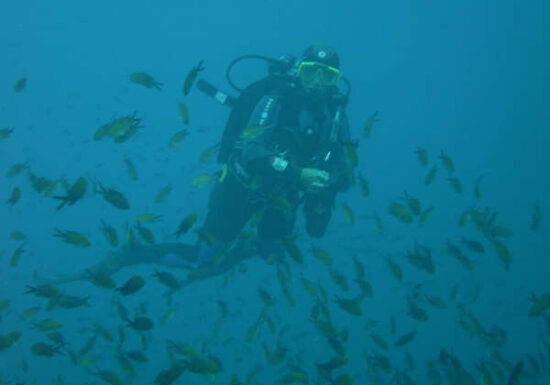 Baptême de plongée – Port Fréjus