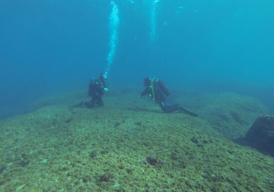 Baptême de plongée – Port Fréjus