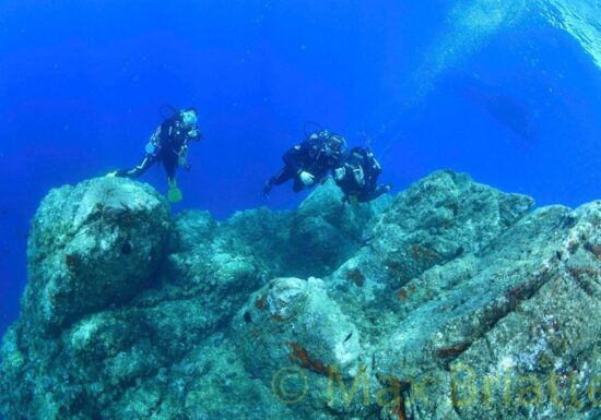 Baptême de plongée – Port de Boulouris