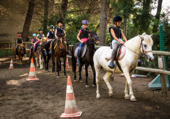 Séance les bébés cavaliers