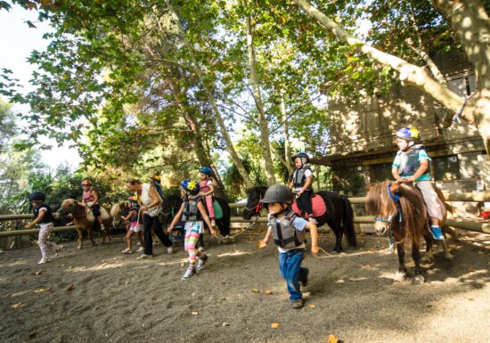 Séance les bébés cavaliers