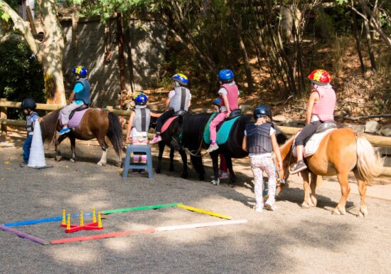 Séance les bébés cavaliers